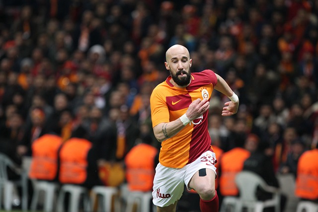 向顶级巨星 向顶级巨星